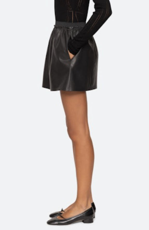 Lucie Leather Mini Skirt